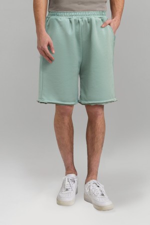 Мужские светло-зеленые шорты оверсайз унисекс