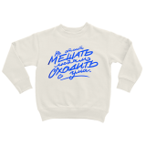  Оверсаз-худи, свитшот, футболка или сумка шоппер с цитатой  Чехова "Не стоит мешать людям сходить с ума."