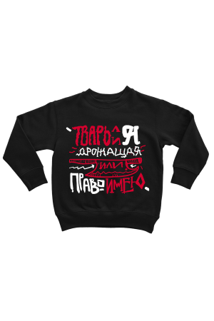  Оверсаз-худи, свитшот, футболка или сумка шоппер с цитатой  Ф.М. Достоевского "Тварь ли я дрожащая или право имею"