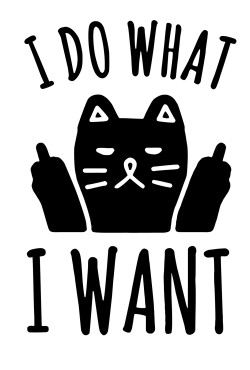  Худи, свитшот или футболка с принтом  I do what I want с котом