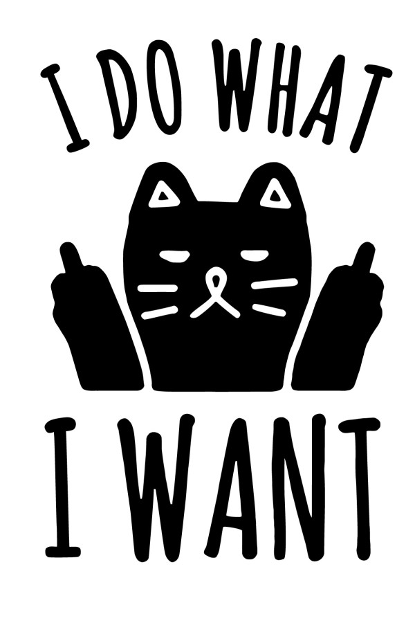  Худи, свитшот или футболка с принтом  I do what I want с котом