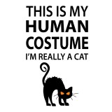  Худи-худи с надписью I'm really a cat, свитшот I'm really a cat, футболка I'm really a cat