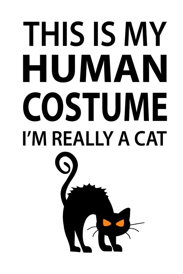  Худи-худи с надписью I'm really a cat, свитшот I'm really a cat, футболка I'm really a cat