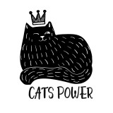 Cat's power