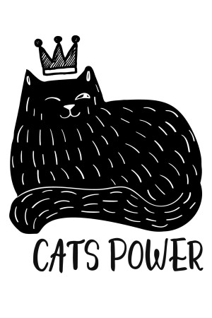 Cat's power