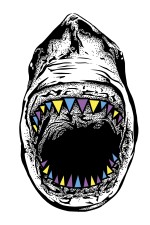  Худи худи с принтом Акула, свитшот с принтом Акула, футболка с принтом  Акула