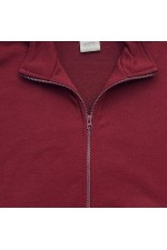 Мужская олимпийка на молнии бордовая плотная демисезонная без начеса   Магазин Толстовок Все худи толстовки свитшоты больших размеров