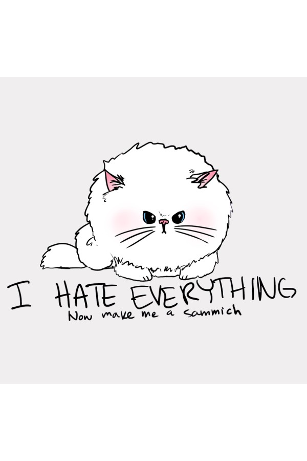 Принт I Hate Everything