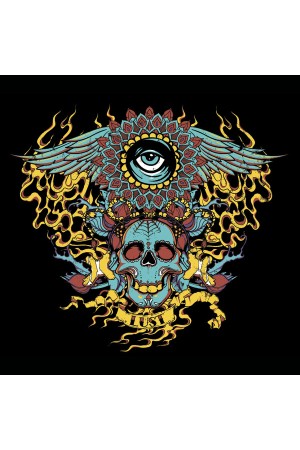 Принт Trid-Eye-Skull