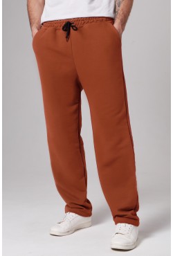 Мужские плотные спортивные брюки демисезонные basic кэмэл (терракотовые)