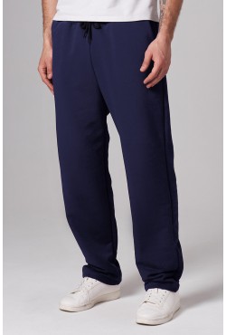 Мужские плотные спортивные брюки демисезонные basic темно-синие