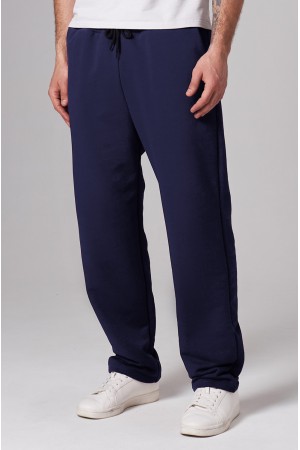 Мужские плотные спортивные брюки демисезонные basic темно-синие