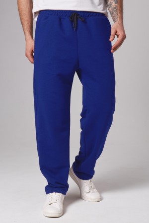 Мужские плотные спортивные брюки демисезонные basic ярко-синие (василек)