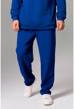 Мужские плотные спортивные брюки демисезонные basic ярко-синие (василек)