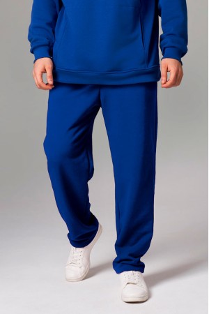 Мужские плотные спортивные брюки демисезонные basic ярко-синие (василек)