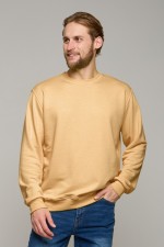  Beige beige classic sweatshirt man dg XS-44-Unisex-(Мужской)    Мужской бежевый свитшот классический без начеса петельный 320гр/м2 