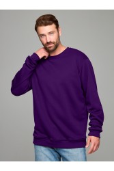 Мужской фиолетовый свитшот классический без начеса петельный 320гр/м2	