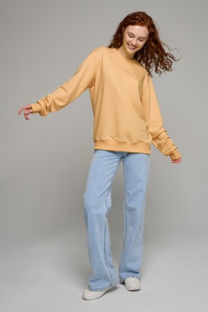 Женский бежевый свитшот спортивный классический без начеса петельный 320гр/м2