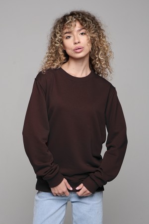 Женский коричневый свитшот спортивный классический без начеса петельный 320гр/м2