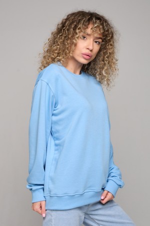 Женский голубой свитшот спортивный классический без начеса петельный 320гр/м2