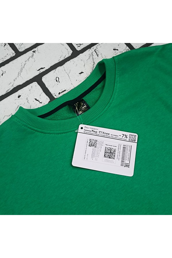 Свитшот оверсайз мужской плотный без начеса цвет аквамарин   Магазин Толстовок Свитшот оверсайз петельный UNISEX