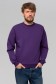  мужской фиолетовый свитшот летний 4XL-58-Unisex-(Мужской)    Мужской фиолетовый свитшот летний 250гр/м2 