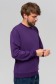 Мужской фиолетовый свитшот летний 250гр/м2   Магазин Толстовок Свитшот летний мужской классический (базовый)
