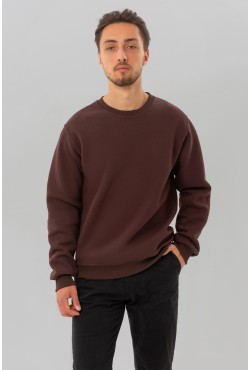 Мужской коричневый свитшот с начесом утепленный