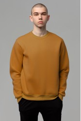 Мужской свитшот с начесом утепленный цвет кэмэл 320гр/м2