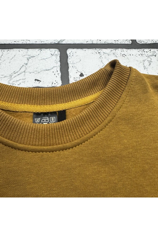 Мужской свитшот с начесом утепленный цвет кэмэл 320гр/м2   Магазин Толстовок Зимние свитшоты с начесом 320 гр/м однотонные МУЖСКИЕ 