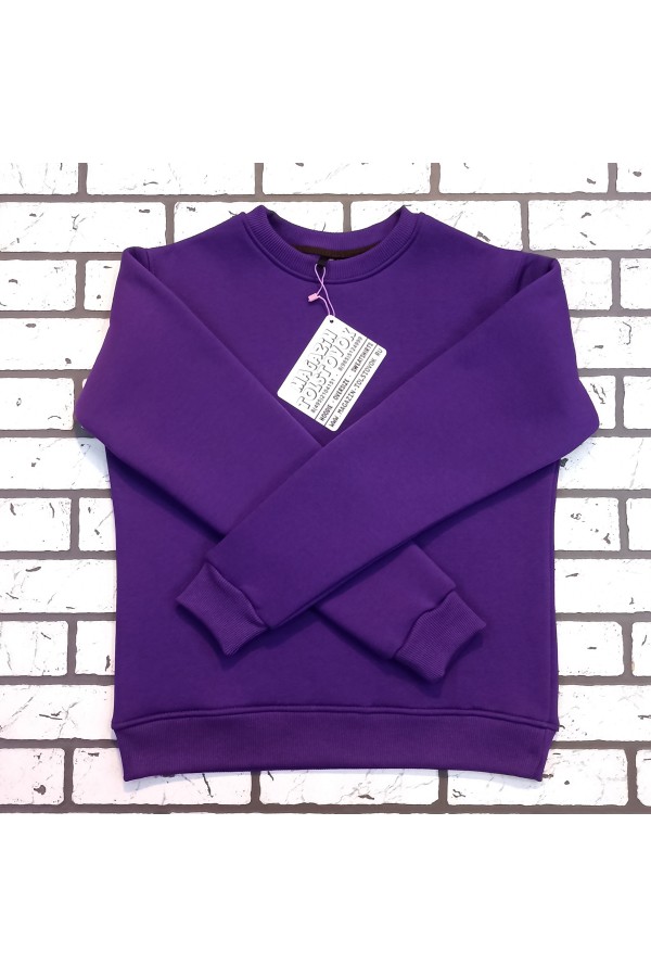 Мужской свитшот фиолетовый утепленный с начесом   Магазин Толстовок Зимние свитшоты с начесом 320 гр/м однотонные МУЖСКИЕ 