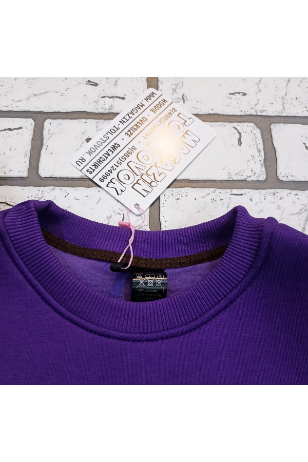 Мужской свитшот фиолетовый утепленный с начесом   Магазин Толстовок Зимние свитшоты с начесом 320 гр/м однотонные МУЖСКИЕ 