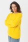  Yellow Sweatshirt Woman Winter 2XL-48-50-Woman-(Женский)    Женский желтый свитшот с начесом утепленный 
