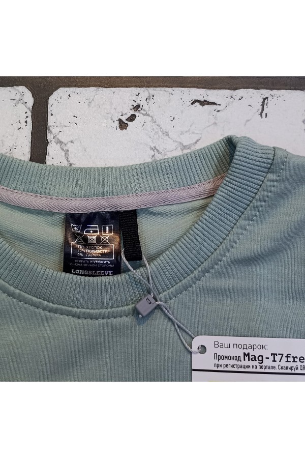 Женский лонгслив классический premium цвет шалфей (светло-зеленый)   Магазин Толстовок Женские лонгсливы классический крой