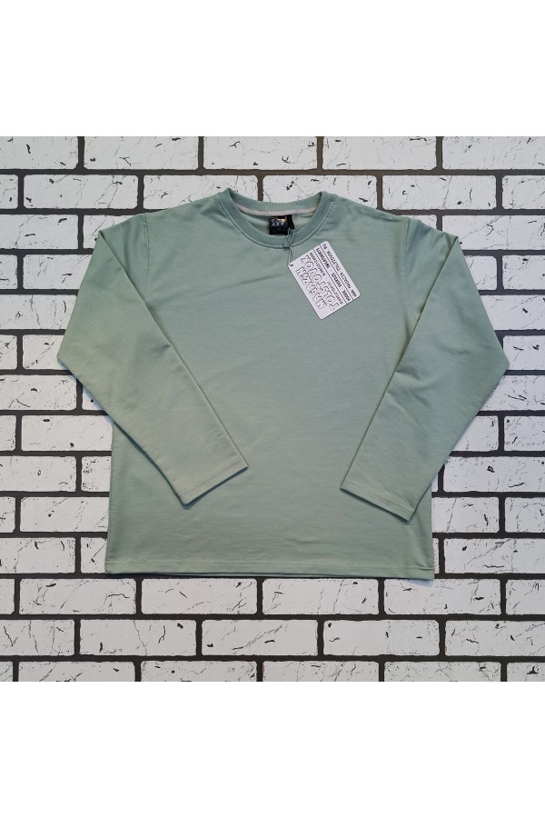 Женский лонгслив классический premium цвет шалфей (светло-зеленый)   Магазин Толстовок Женские лонгсливы классический крой