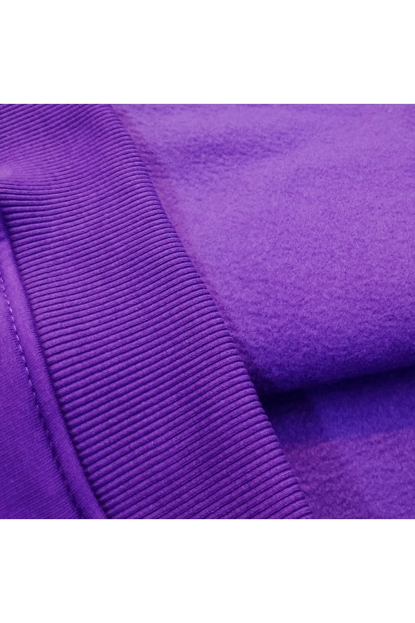 Худи оверсайз мужская фиолетовая утепленная (унисекс)   Магазин Толстовок OVERSIZE Hoodie Man / Мужские Худи Оверсайз