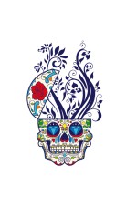  Худи, свитшот, футболка c Цветным черепом