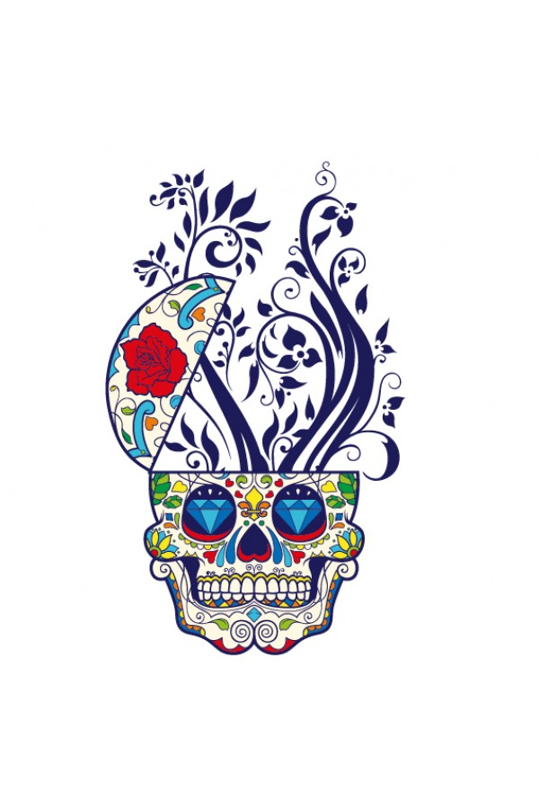  Худи, свитшот, футболка c Цветным черепом