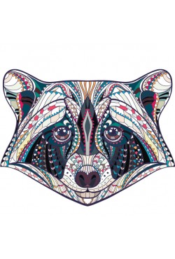  Худи, свитшот, футболка с принтом Енот в этническом стиле