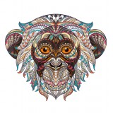 Толстовка с Обезьяной, свитшот  с Обезьяной, футболка с Обезьяной