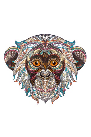 Толстовка с Обезьяной, свитшот  с Обезьяной, футболка с Обезьяной