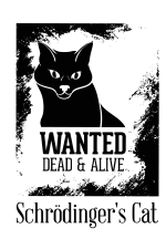  Худи с принтмо Кот Щредингера, свитшот. принтом Кот Щредингера, футболка с принтом Кот Щредингера
