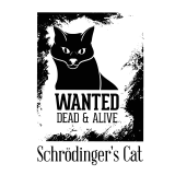  Худи с принтмо Кот Щредингера, свитшот. принтом Кот Щредингера, футболка с принтом Кот Щредингера