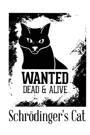 Худи с принтмо Кот Щредингера, свитшот. принтом Кот Щредингера, футболка с принтом Кот Щредингера