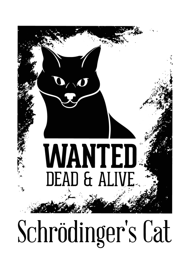  Худи с принтмо Кот Щредингера, свитшот. принтом Кот Щредингера, футболка с принтом Кот Щредингера