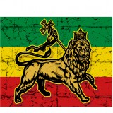  Худи, свитшот, футболка Растаманский лев