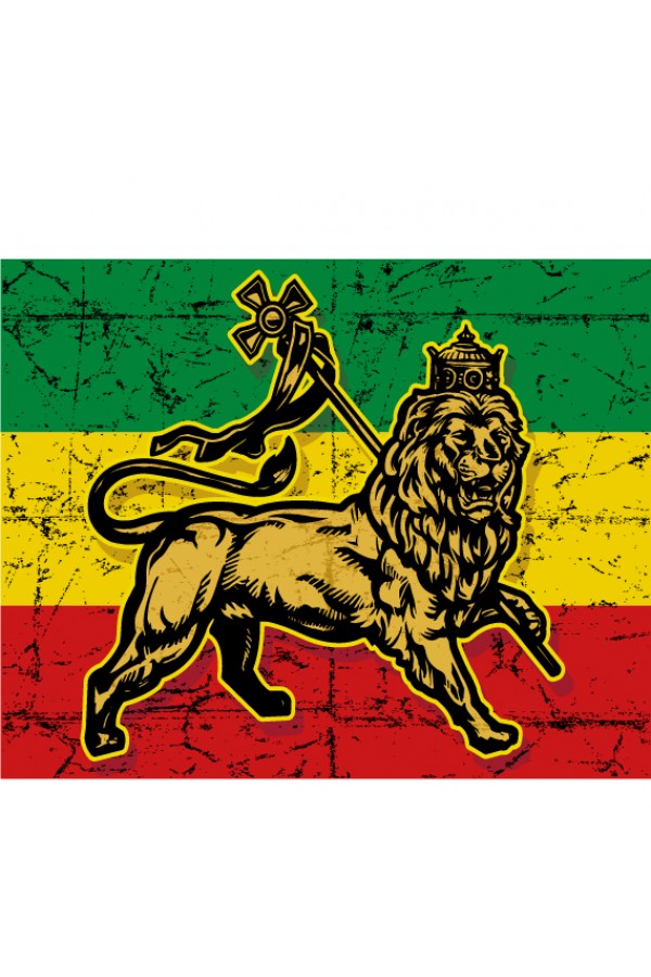  Худи, свитшот, футболка Растаманский лев