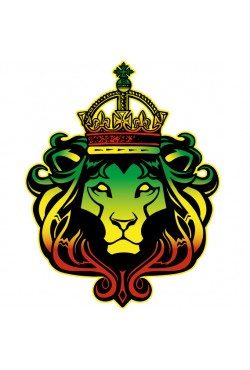  Худи, свитшот, футболка Растаманский Лев 2.0