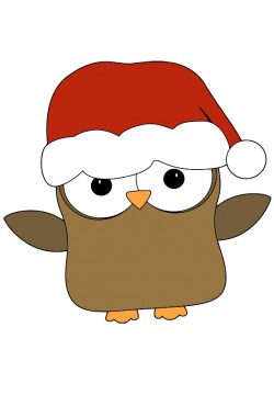 Cвитшот Сова Дед Мороз, толстовка Сова Дед Мороз, футболка Сова Дед Мороз