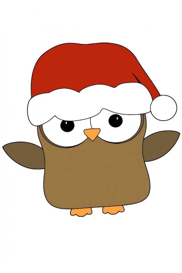 Cвитшот Сова Дед Мороз, толстовка Сова Дед Мороз, футболка Сова Дед Мороз